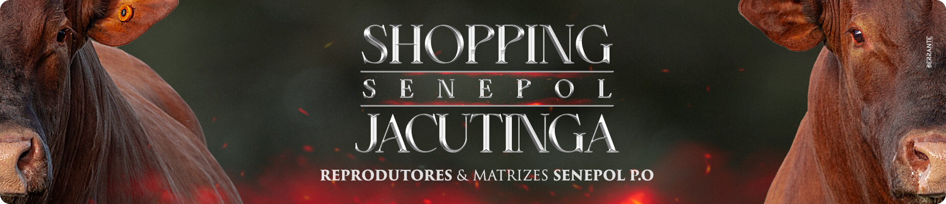 Shopping Senepol Jacutinga