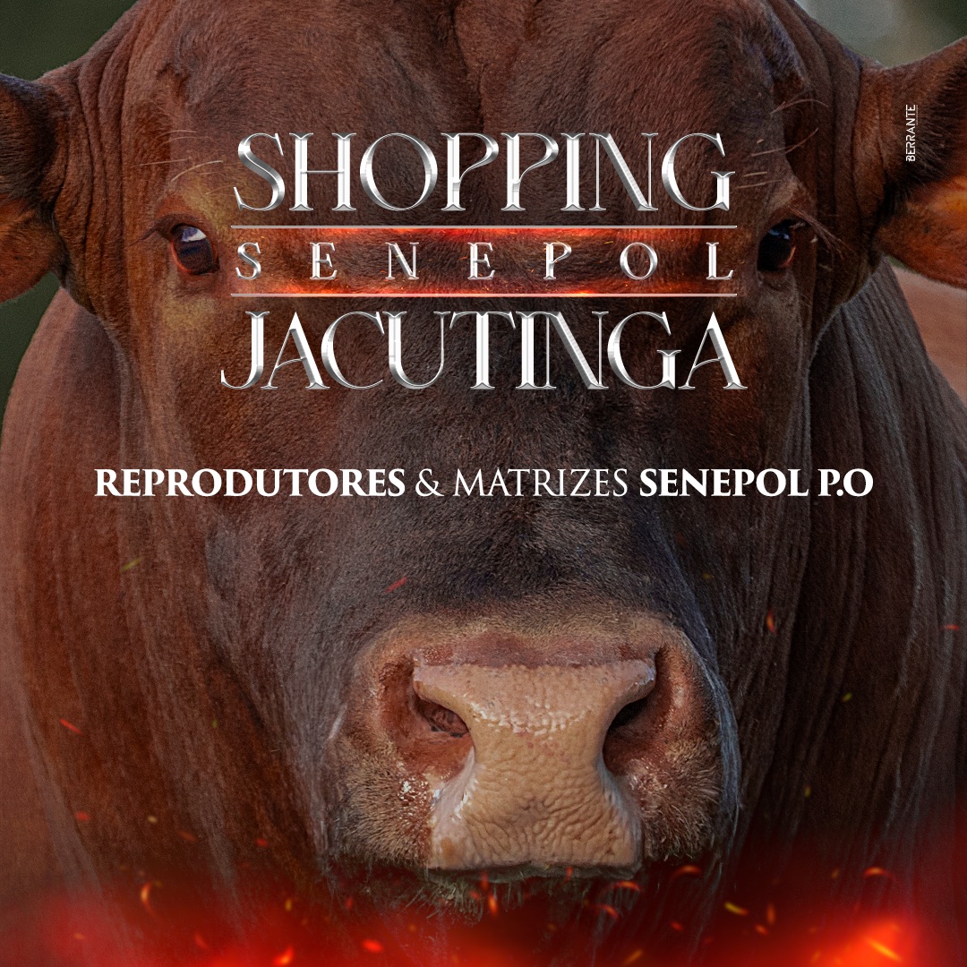 Shopping Senepol Jacutinga